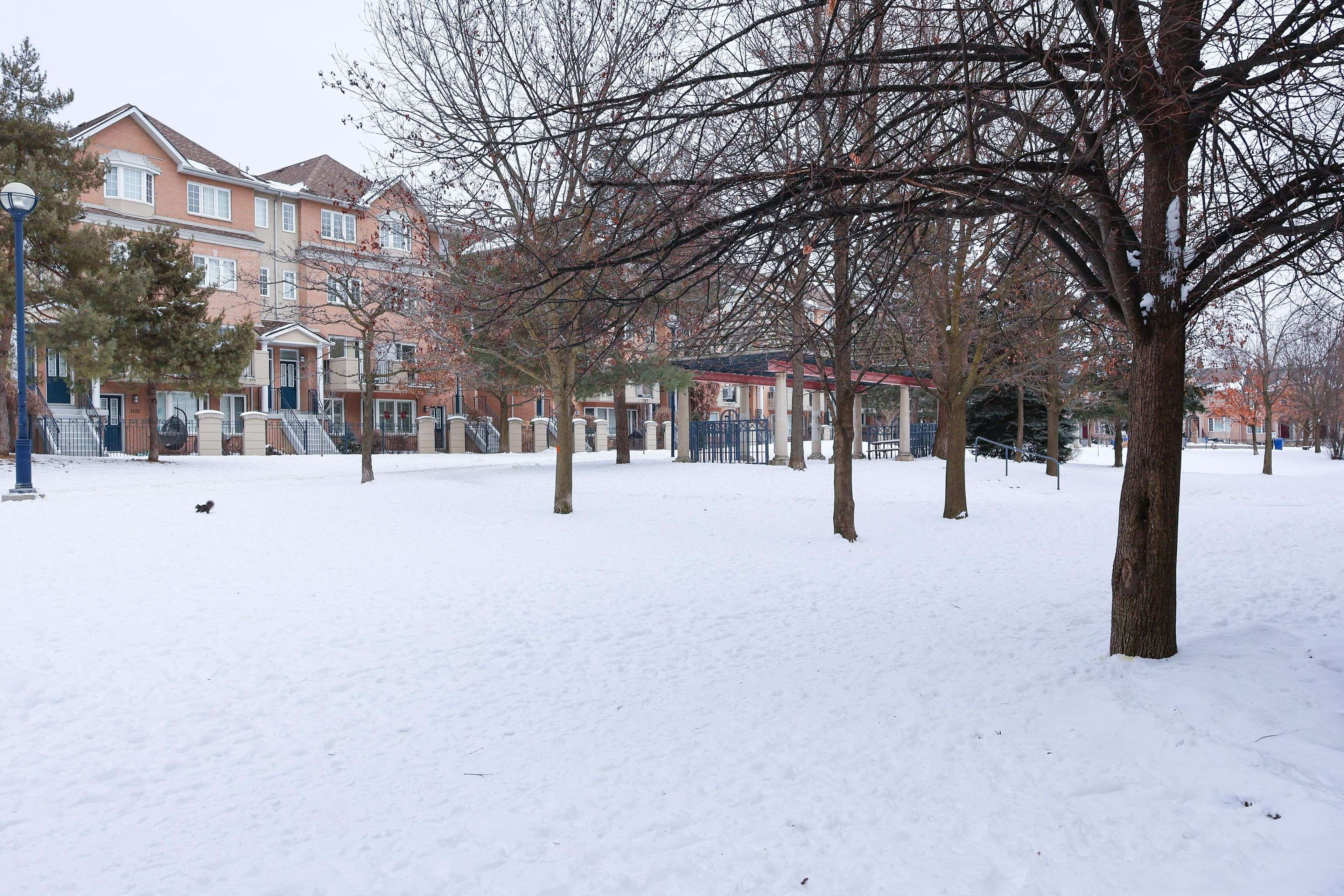 Toronto C14, ON M2N 6V5,821 Grandview WAY