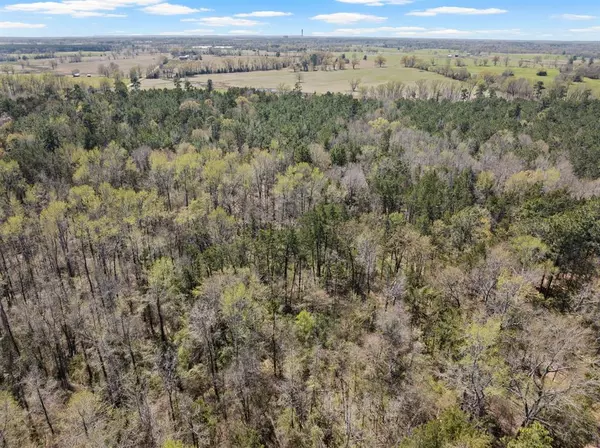 Mount Pleasant, TX 75455,Lot 3 CR 4365