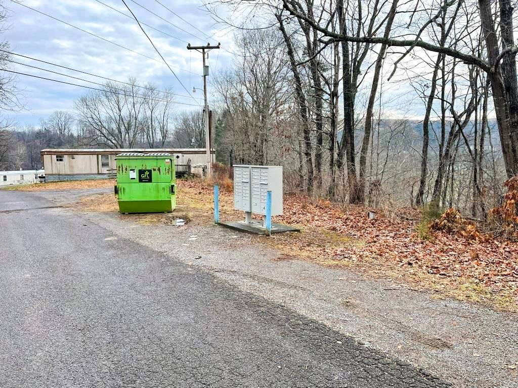Max Meadows, VA 24360,TBD Cox Lane
