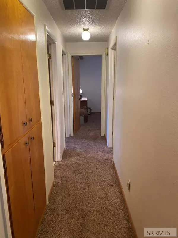 Challis, ID 83226,96 Valley View Lane