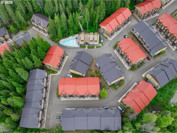 Government Camp, OR 97028,87916 E ALPENGLOW LN