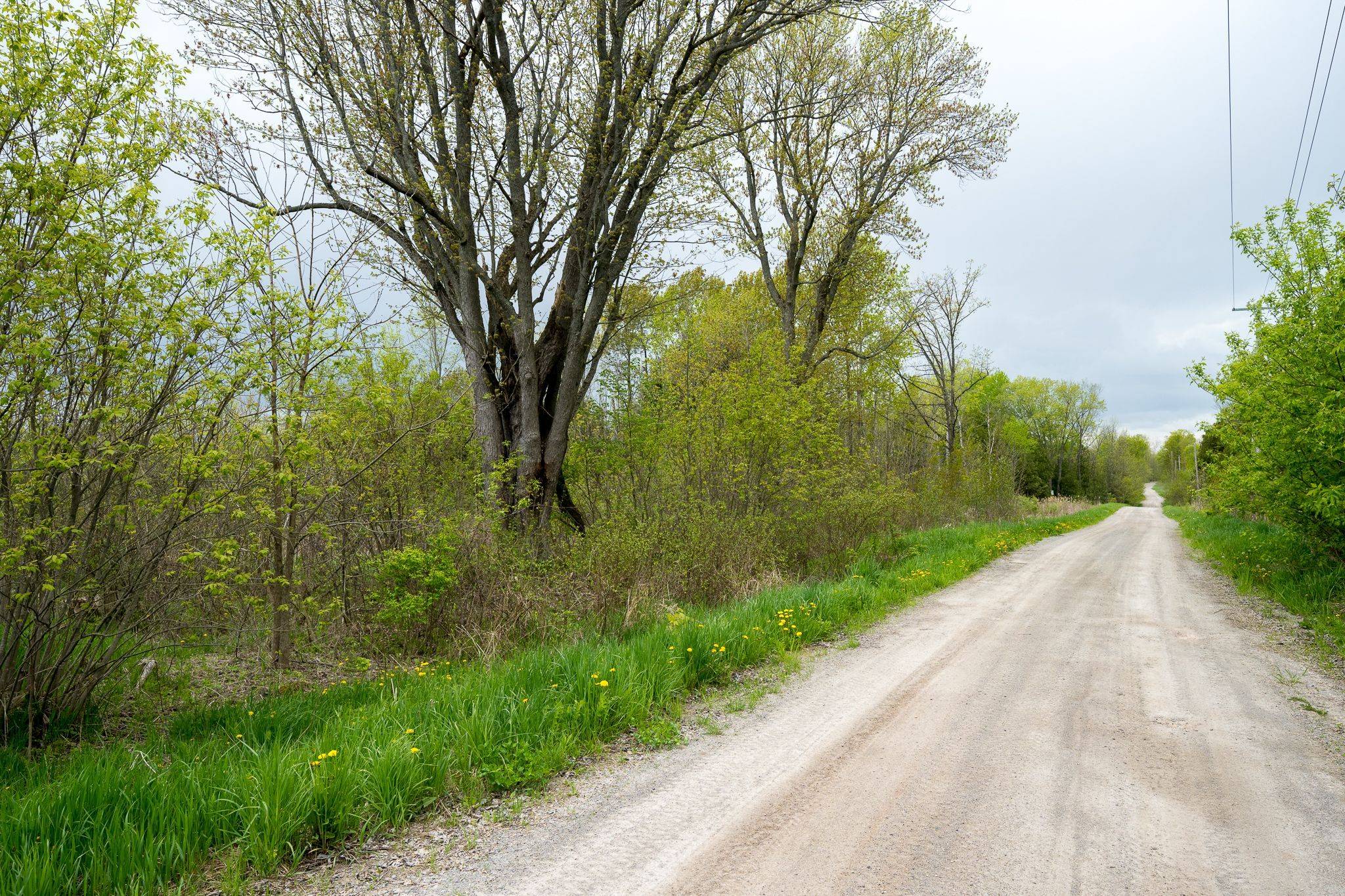 0 ACREMAN RD, Madoc, ON K0K 2K0