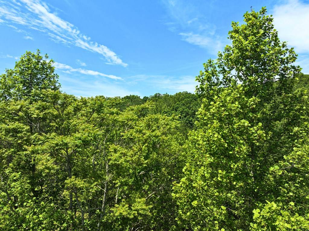 Boones Mill, VA 24065,00 Summerbreeze Dr