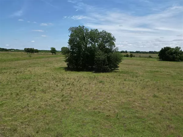 Ennis, TX 75119,TBD 20.693 acres Ramons Road