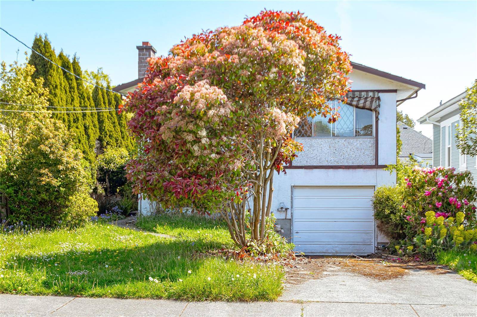 Oak Bay, BC V8R 5T1,2421 Mowat St