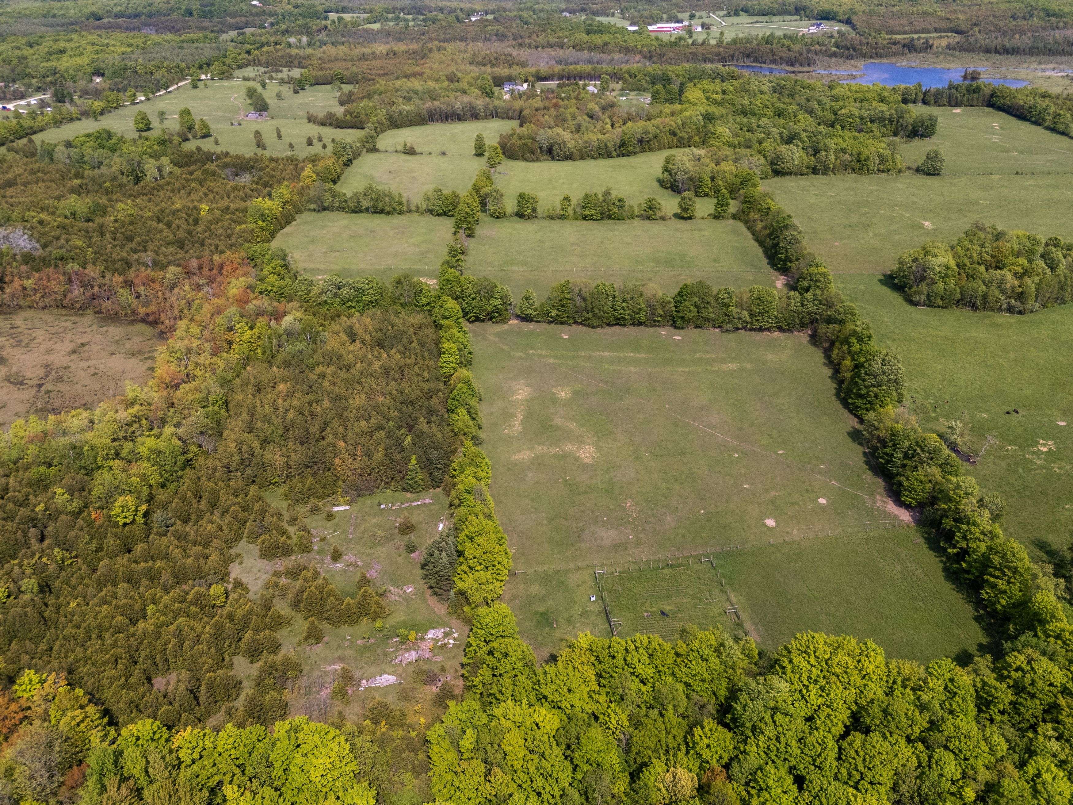 Chatsworth, ON N0H 2V0,215319 Concession 4 RD