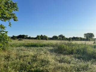 Bruceville, TX 76630,203 Dalrex