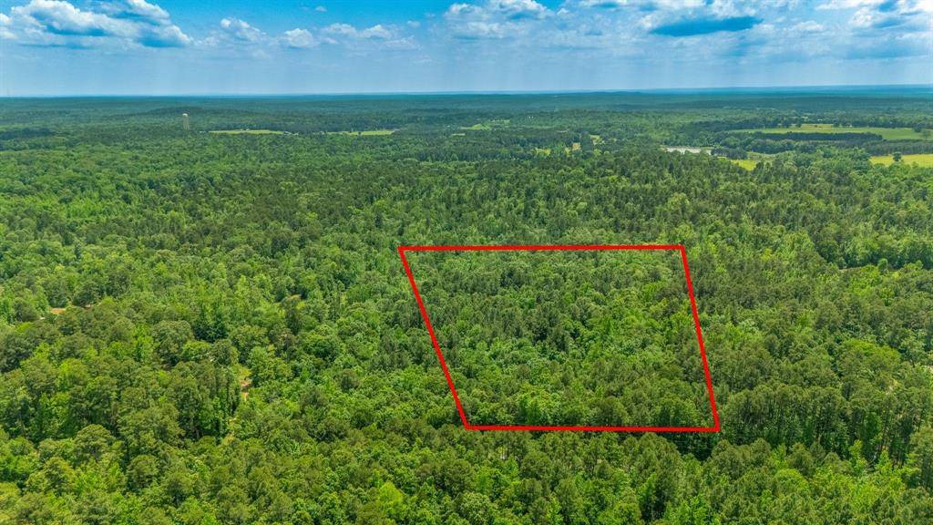 Quitman, TX 75783,TBD Tract 13 County Road 3273