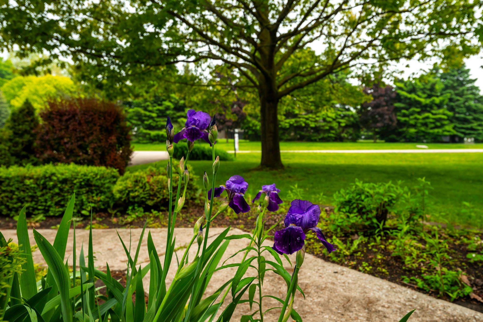 Centre Wellington, ON N0B 1J0,5 Amalia CRES
