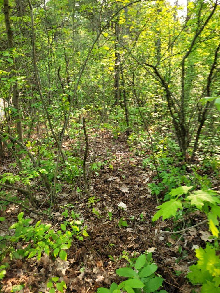 00 South Portage RD, Lake Of Bays, ON P0A 1H0