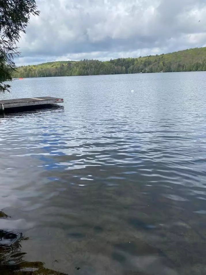 Kearney, ON P0A 1M0,393 Loon Lake RD S