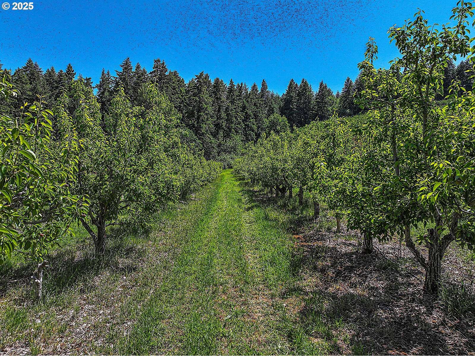 Hood River, OR 97031,3720 Scott RD
