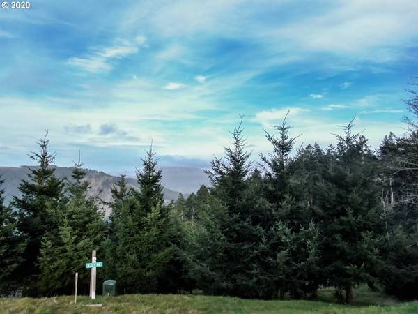 Brookings, OR 97415,98034 CROWN TERRACE RD