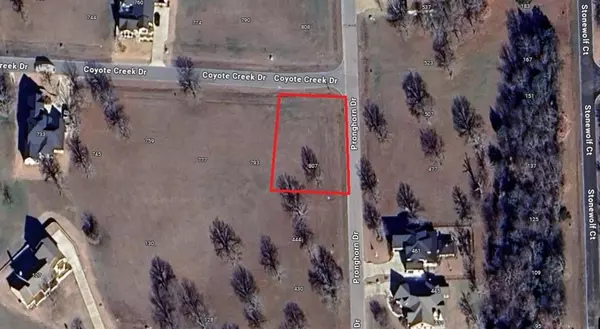 Gordonville, TX 76245,Lot 24 Coyote Creek Drive