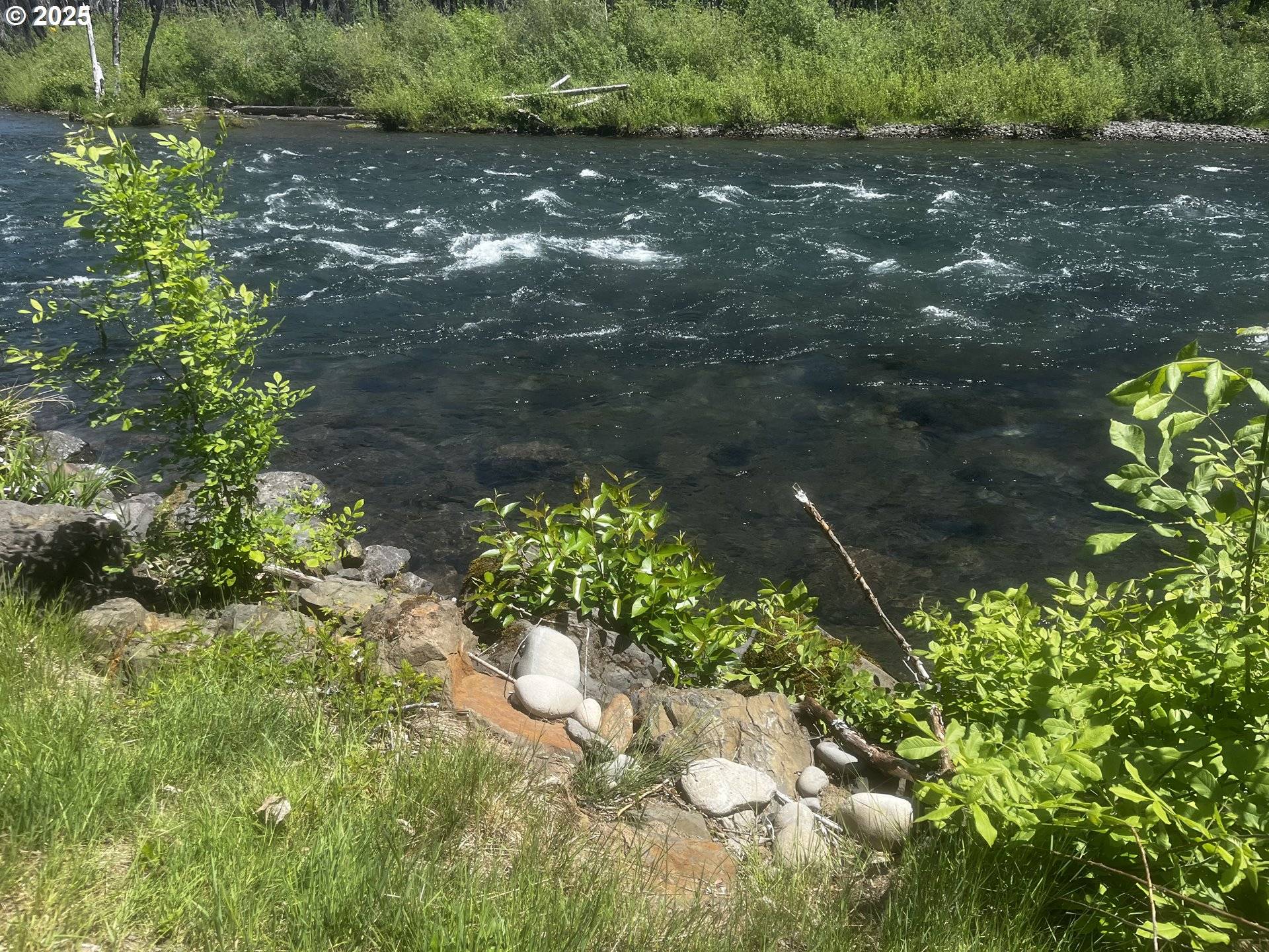 Blue River, OR 97413,52984 MCKENZIE HWY