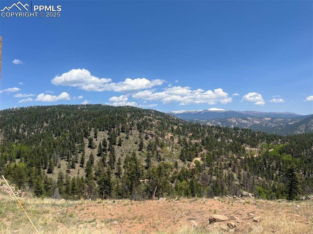 Florissant, CO 80816,52 Chateau West CIR