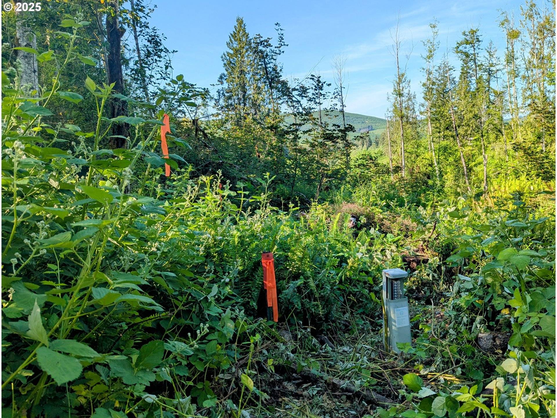 Toutle, WA 98649,267 WILDCAT RD