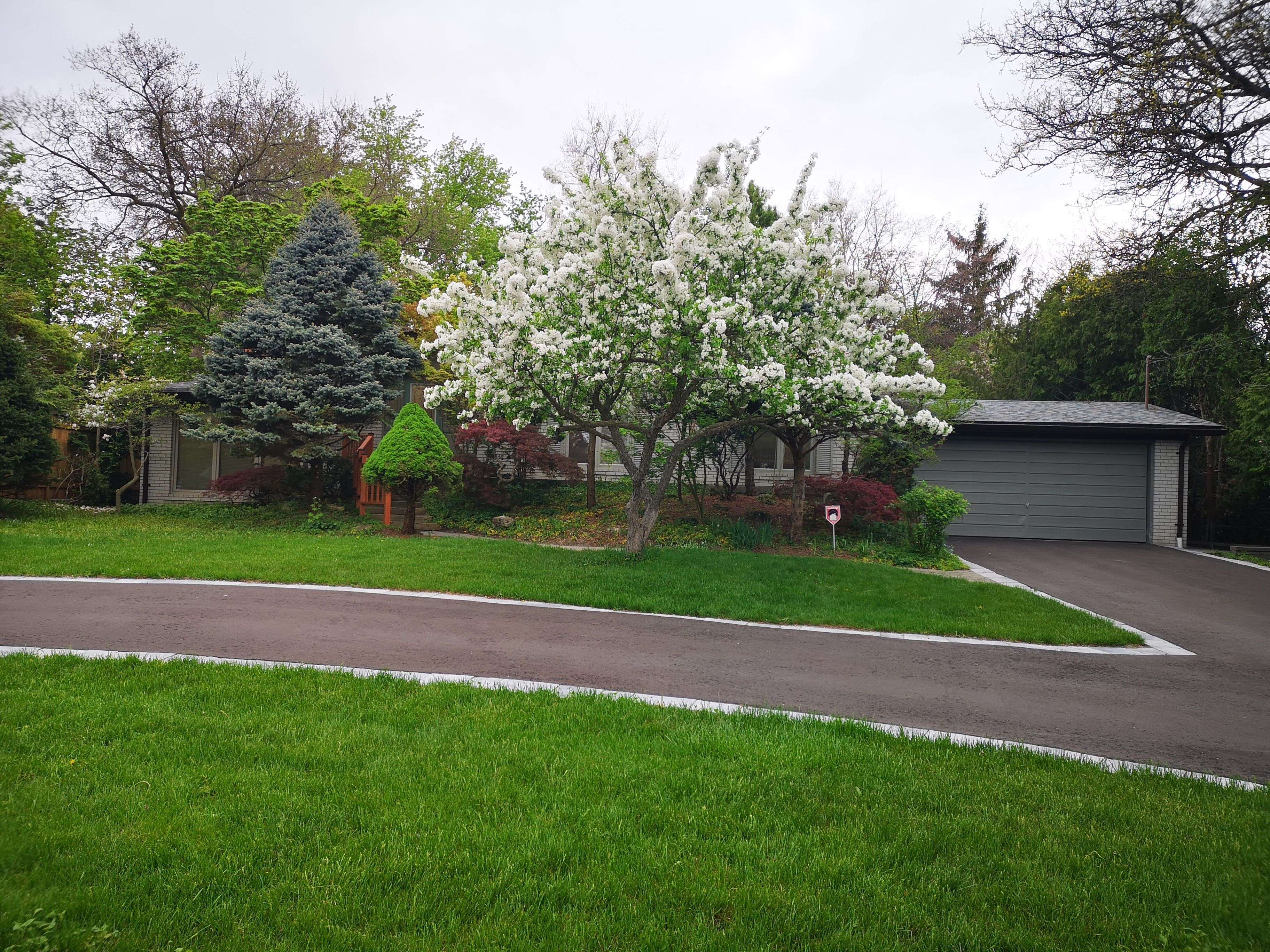 Markham, ON L3T 3M1,12 Thornheights RD N