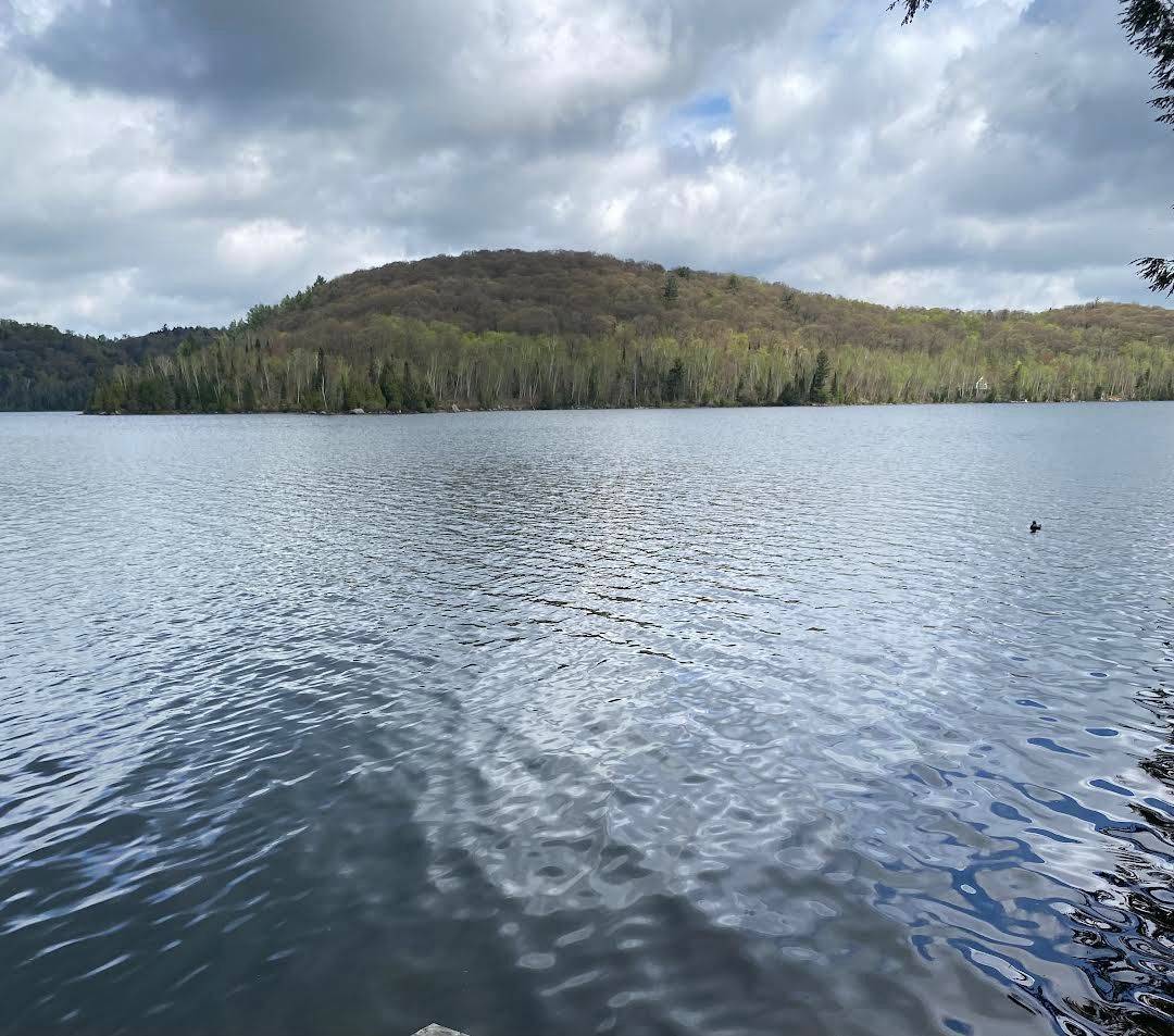 Kearney, ON P0A 1M0,393 Loon Lake RD S