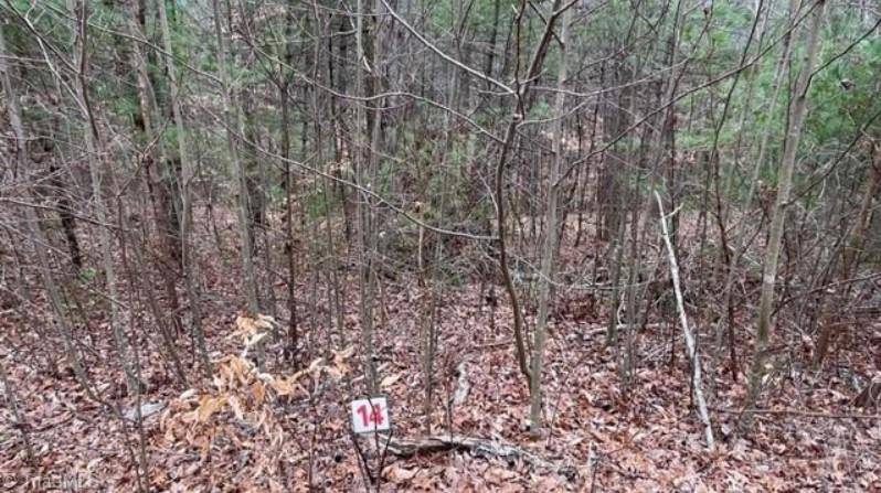 Lot 14 Woods Haven Lane, Stuart, VA 27141