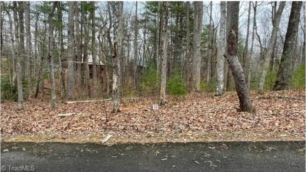 Lot 33 Woods Haven Lane, Stuart, VA 24171