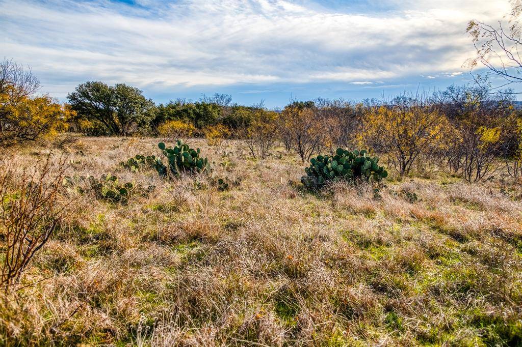 Graham, TX 76450,TBD Reevs Road