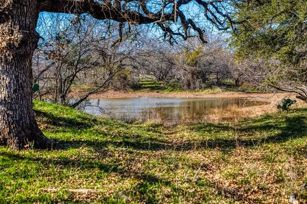 Graham, TX 76450,TBD Reevs Road