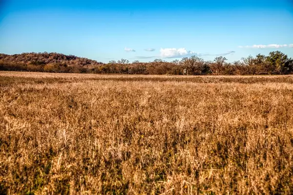 Graham, TX 76450,TBD Reevs Road