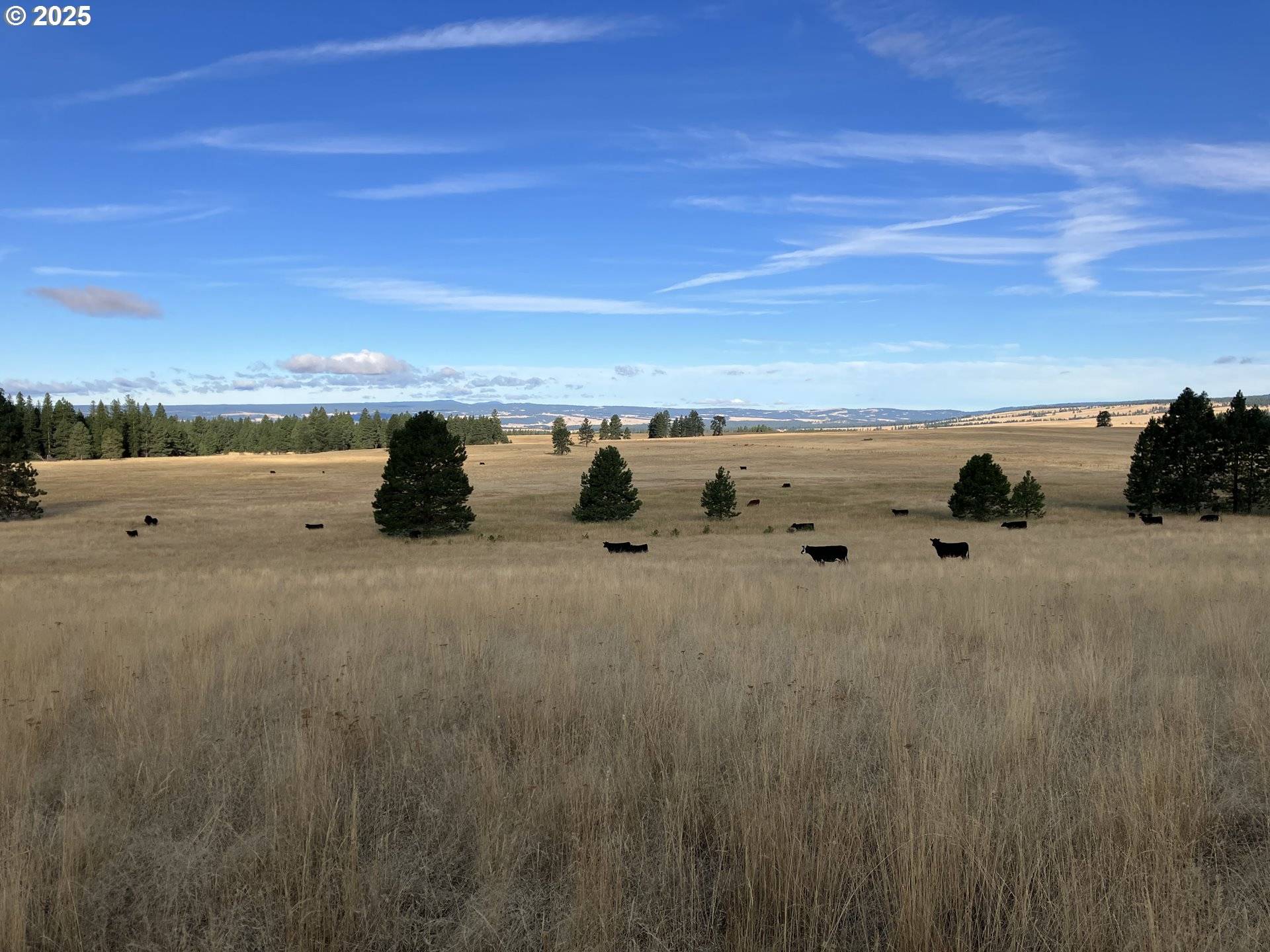 Ukiah, OR 97880,45000 Hidaway Springs RD