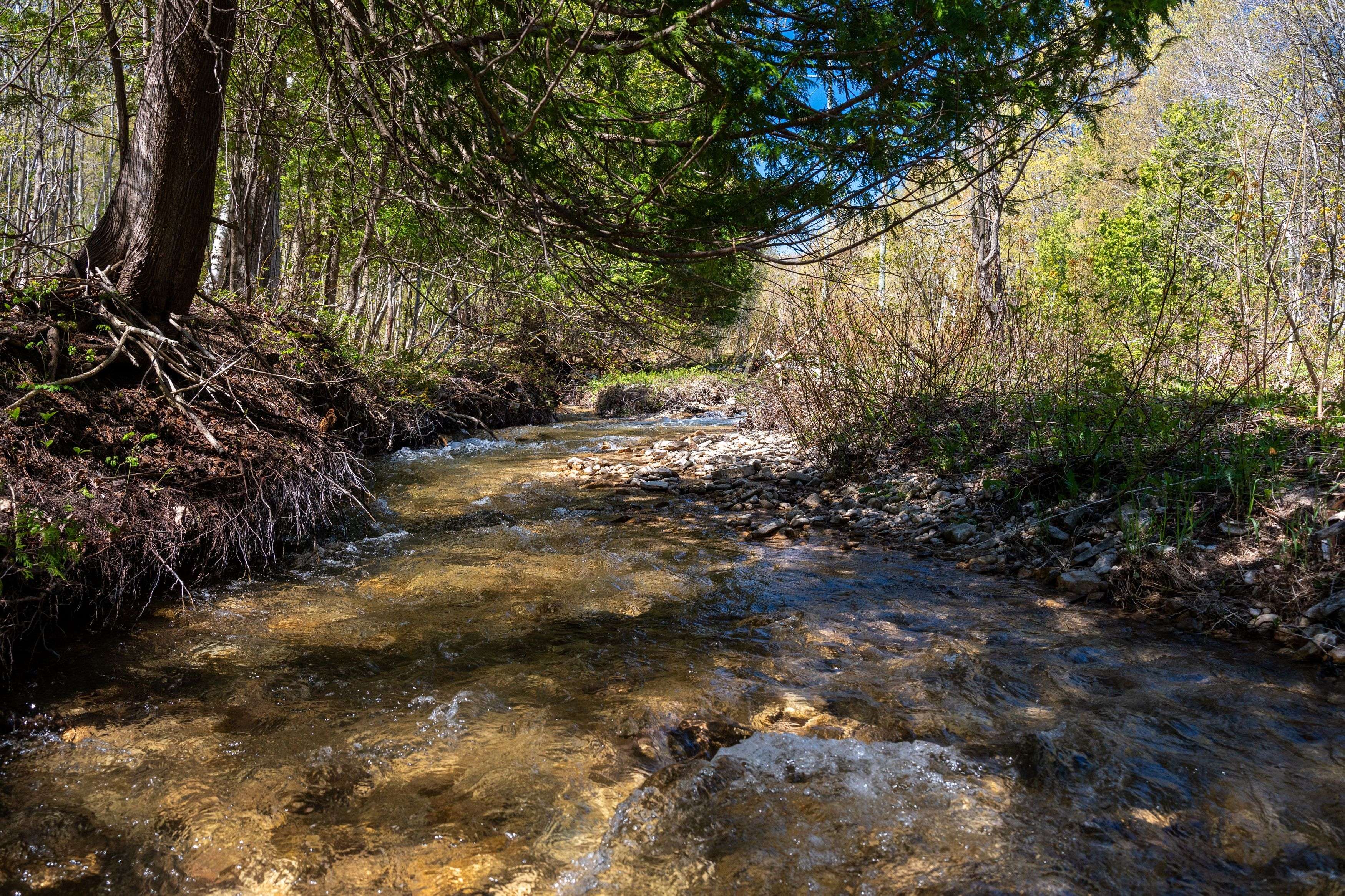 Blue Mountains, ON L9Y 0P5,589901 Grey Road 19 RD