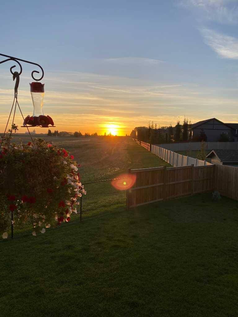 Olds, AB T4H 0C4,43 Vincent CRES