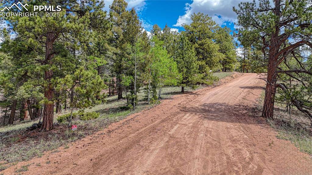 Florissant, CO 80816,26 N Eldorado CIR