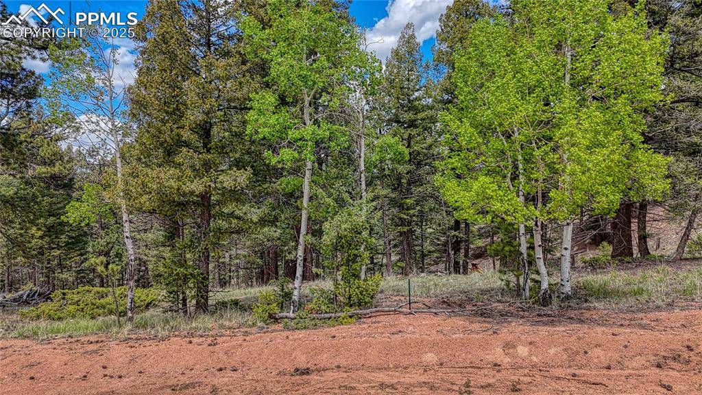 Florissant, CO 80816,26 N Eldorado CIR
