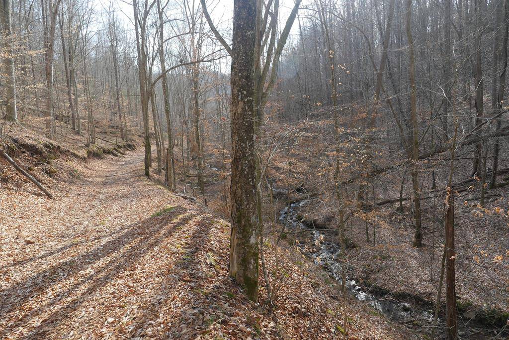 00 Homer Lane, Hiltons, VA 24258