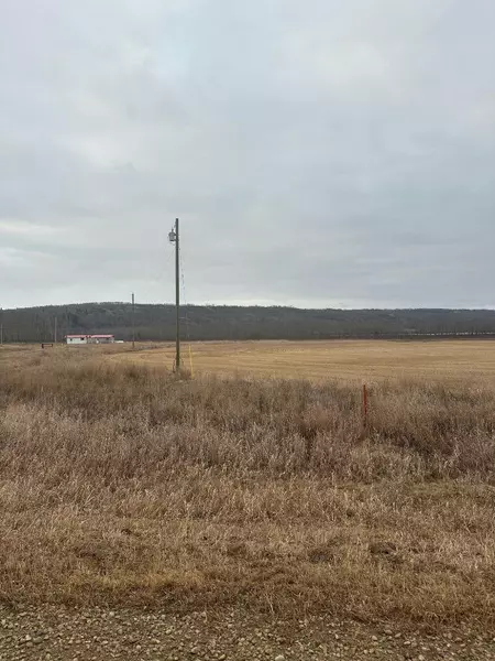 4-1-2121458 242A Range, Rural Birch Hills County, AB T0H3R0