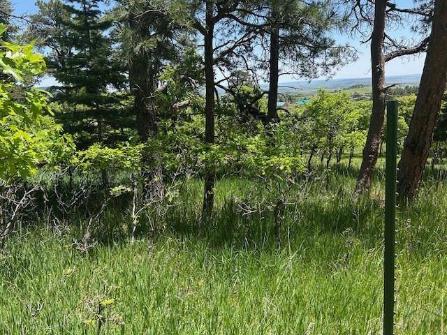 Rye, CO 81069,Lot 15 Charles Lane