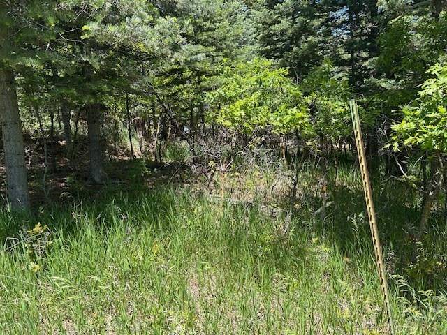 Rye, CO 81069,Lot 15 Charles Lane