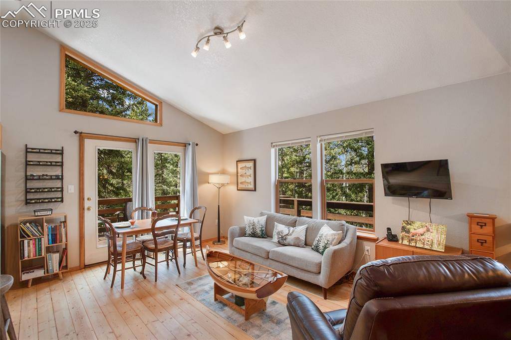 Divide, CO 80814,565 Ridge RD