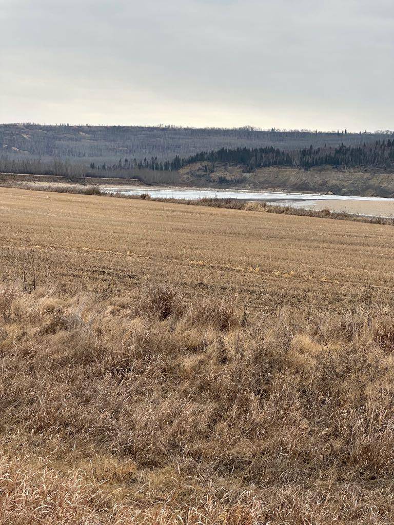 2-1-2121458 242A Range, Rural Birch Hills County, AB T0H3R0