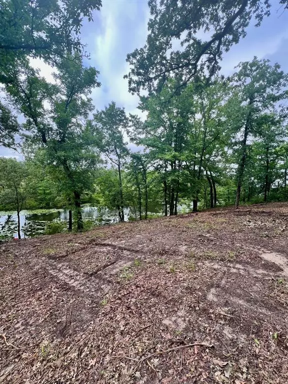 Athens, TX 75752,7721 County Road 4801