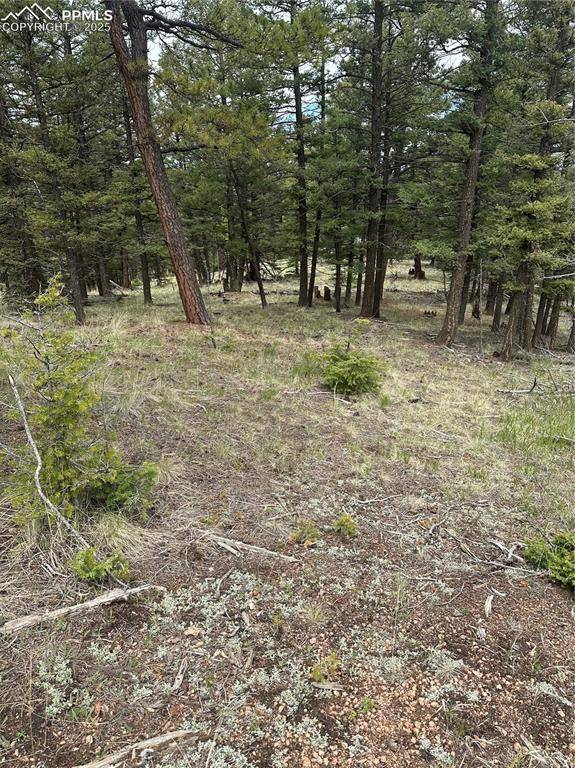 Florissant, CO 80816,1120/1086 N Mountain Estates RD