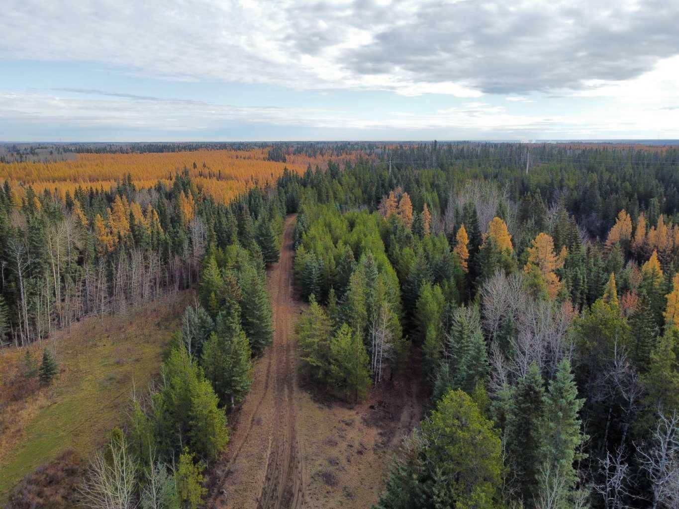 Rural Grande Prairie No. 1 County Of, AB T8V 2Z8,NE 28-70-6-W6