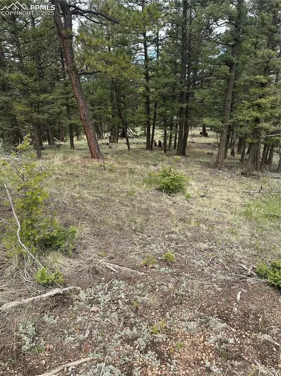 Florissant, CO 80816,1120/1086 N Mountain Estates RD