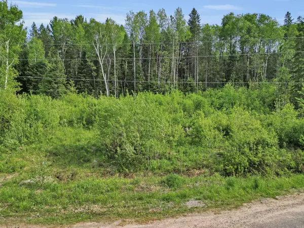 Armour, ON P0A 1L0,219 Doe Lake RD