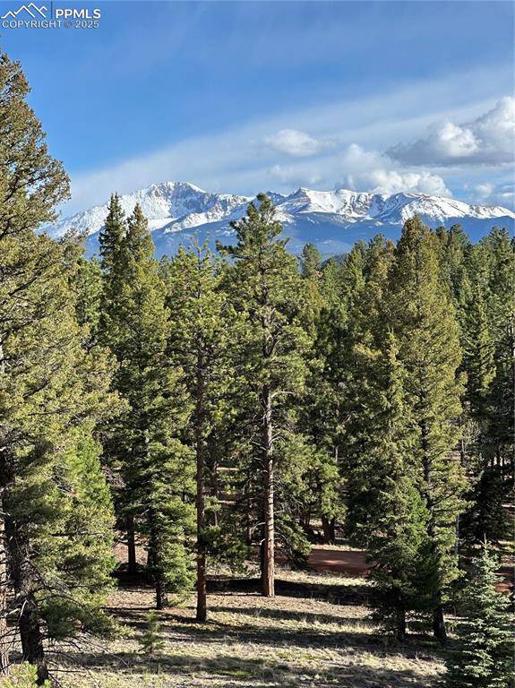 Woodland Park, CO 80863,Sourdough RD