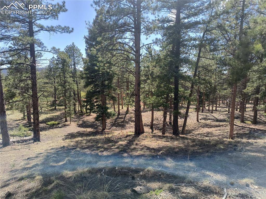 Woodland Park, CO 80863,Sourdough RD