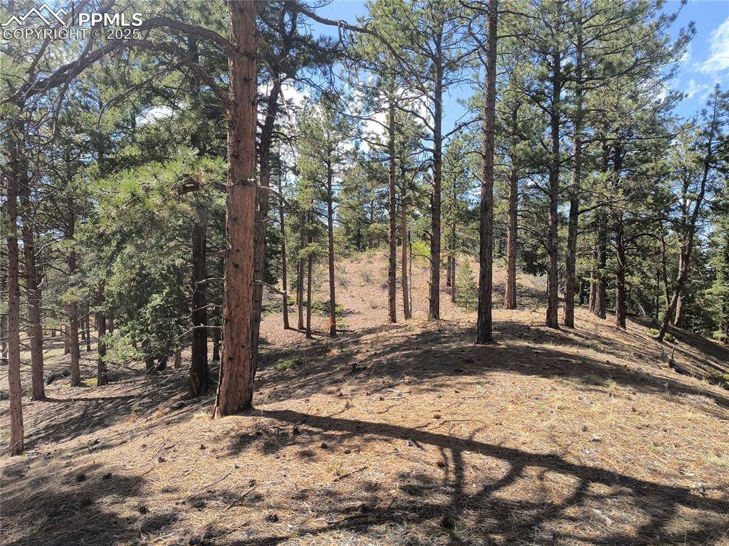 Woodland Park, CO 80863,Sourdough RD