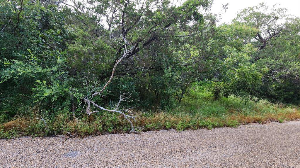 Granbury, TX 76049,839 E Aquarius Court