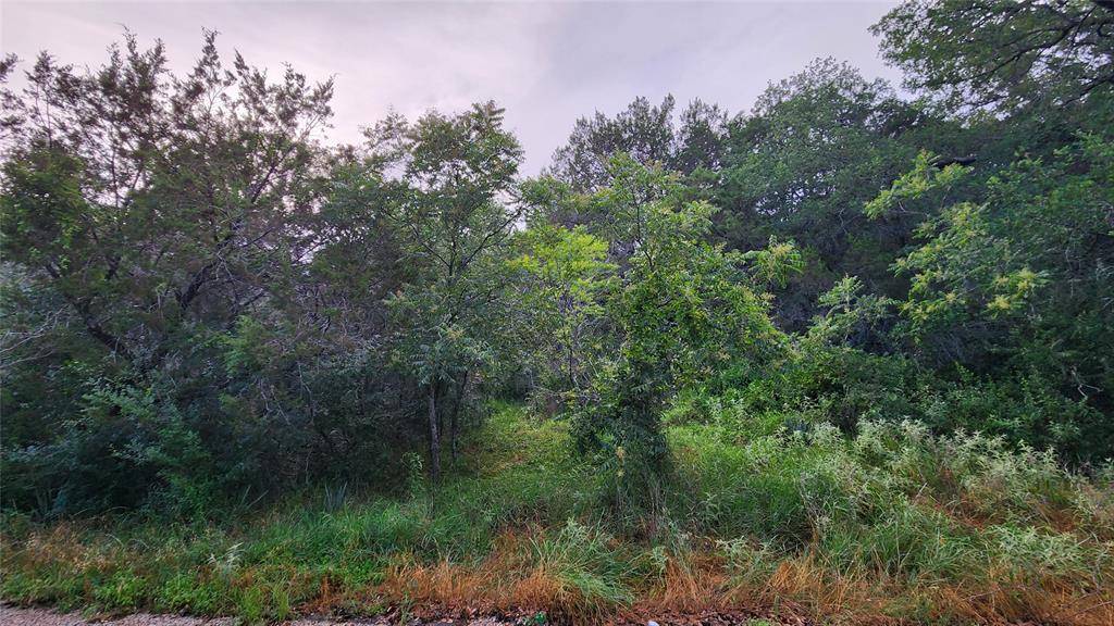 Granbury, TX 76049,839 E Aquarius Court