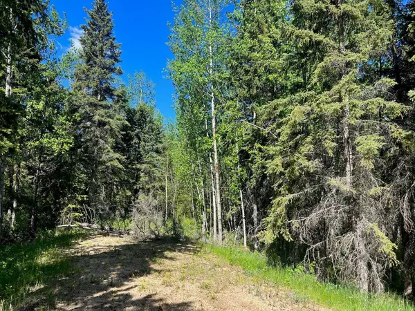 Rural Ponoka County, AB T4J 1R3,421022 Range Road 260 #13